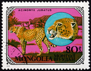 Postage stamp Mongolia 1979 Cheetah, African Animal