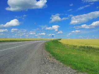 Fototapeta na wymiar Meadow of wheat. Beautiful landscape. bus stop sign at roadside