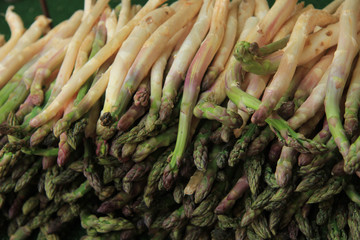 Asparagus at the market
