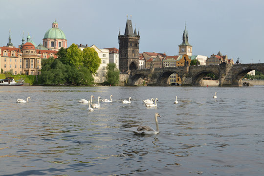 Prague. View of the Vltava River and Karlov Bridge