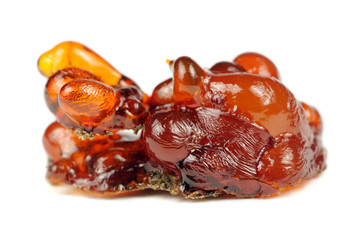 Cherry Tree Resin Isolated on White Background