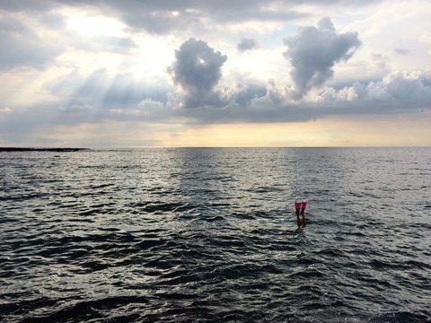 Pink Flippers In Ocean