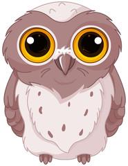 Cute owlet