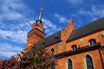 Cathedral in Tarnow 2