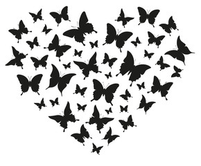 Plakat Schmetterlinge Vektor Herz