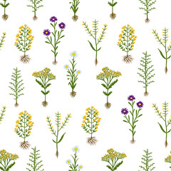 Fototapety  Herbarium flowers with roots, seamless pattern