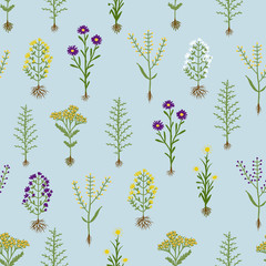 Herbarium flowers with roots, seamless pattern