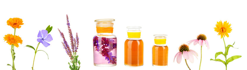 Collage of medicine bottles and herbs, isolated on white