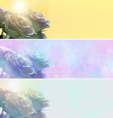 Rose website banners