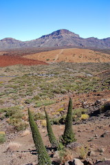 Pustynny krajobraz w parku narodowym teide, teneryfa w Hiszpanii - obrazy, fototapety, plakaty