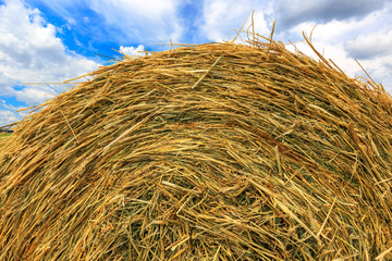 hay stack close-up on sky background