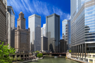Fototapeta premium CHICAGO RIVER