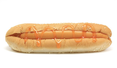 hotdog with tomato sauce