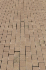Fototapeta premium sidewalk from red bricks