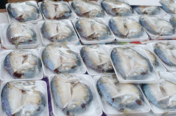pack of Fresh mackerel fish