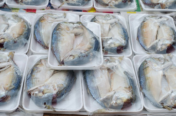 pack of Fresh mackerel fish