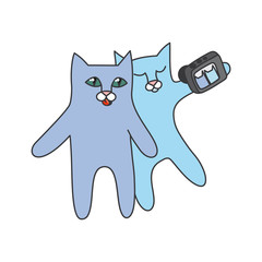 blue cats Gemini photographed