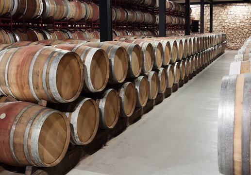 Interior  of wine cellar
