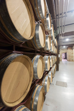 barrels in rows at  wine factory