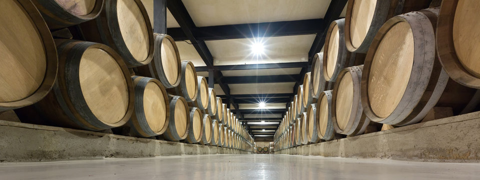 wooden barrels in  wine factory