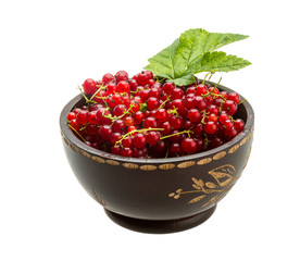 Red currant