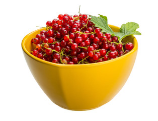 Red currant