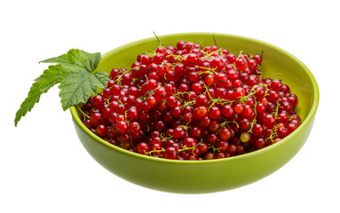Red currant