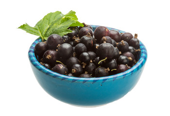 Black currant