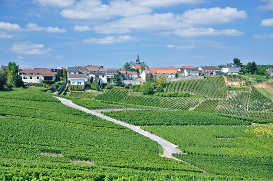 Weinort Cramant in der Champagne nahe Epernay