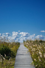 はまなすの丘公園