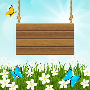 Sunny meadow with wooden signboard