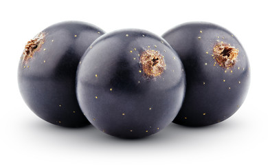 Black currant berry isolated on white with clipping path