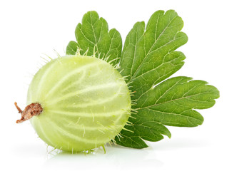 Closeup of green gooseberry with leaf isolated on white