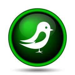 Bird icon