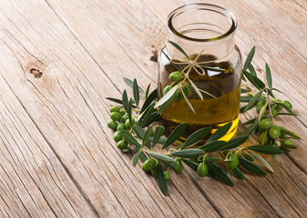 olive oil and olives on the branch