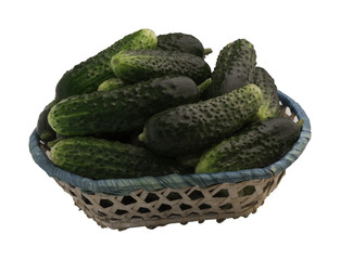 Crop cucumbers in a basket