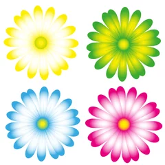 blumen © himself100