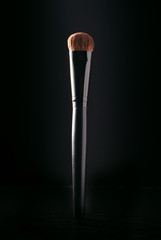 Cosmetics applicator brush