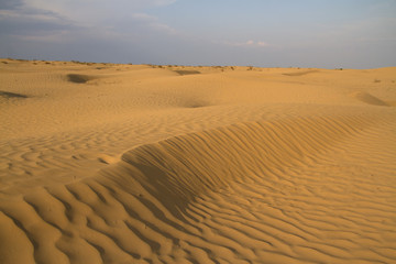Fototapeta na wymiar sandy desert spring day in Kalmykia