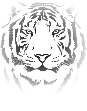 tiger head in black interpretation 4
