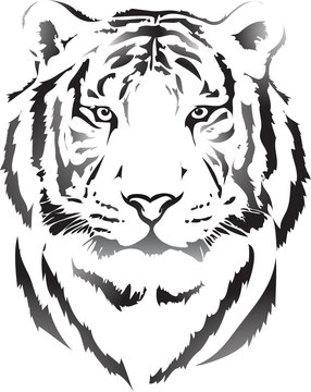 tiger head in black interpretation 3