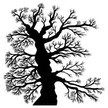 Uralter, unbelaubter Baum – Vektor, schwarz, freigestellt