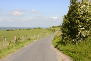 Fototapeta na wymiar Country lane on South Downs. Sussex. England
