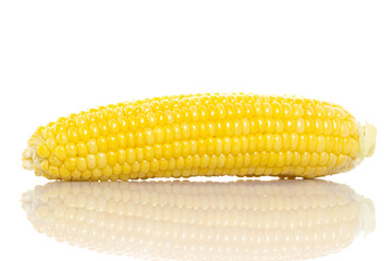 Corn isolated on white background