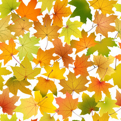 Seamless background of autumn leaves, vector illustration.