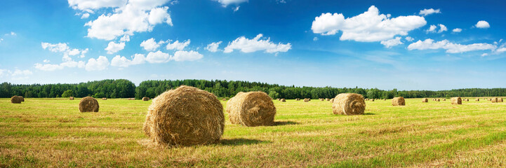 Hay bales with blue sky and fluffy clouds - obrazy, fototapety, plakaty