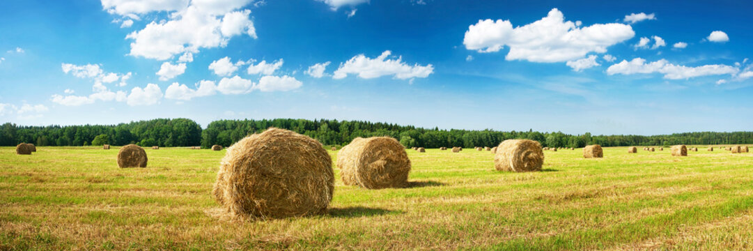 Hay bales with blue sky and fluffy clouds