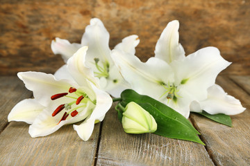 Beautiful lily on wooden background