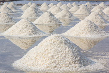 Salt fields