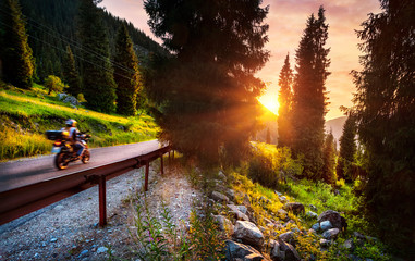 Fototapety na wymiar - Fototapeta24.pl